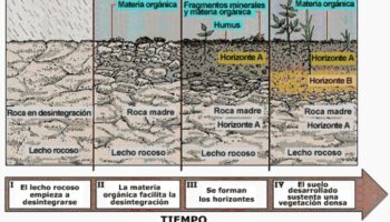 Manual para el uso y conservación de los suelos