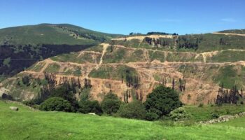 Arca acusa a Montes de «desidia» en la conservación del territorio tras la tala de árboles en Luena