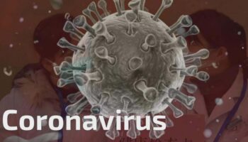 ¿Quieres conocer el coronavirus chino 2019?