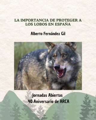 la importancia de proteger a los lobos en españa