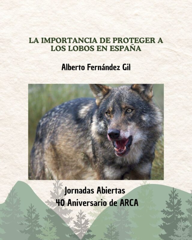 la importancia de proteger a los lobos en españa