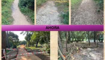 NO DESTRUCCIÓN Y RECUPERACIÓN DEL MONTE ARNA DE SOMO