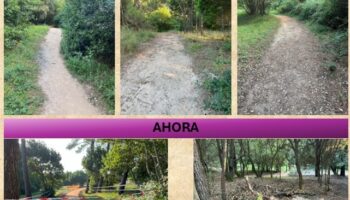 Concentración en SOMO, Monte ARNA